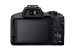 CANON EOS R50 + RF-S 18-45MM F4.5-6.3 + RF-S 55-210MM F5-7.1 - Image 3