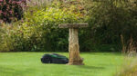 Bosch Indego XS 300 - Image 8